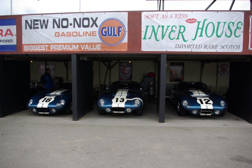 IMGP5104.jpg