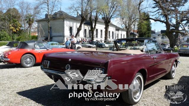 haras-tarbes-2017 16