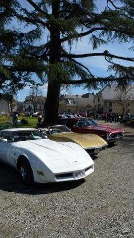 haras-tarbes-2017 17