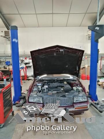 IMG 20190113 225552