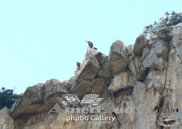 Navarre-octobre2013 24