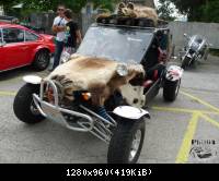 rockandcars2015 18