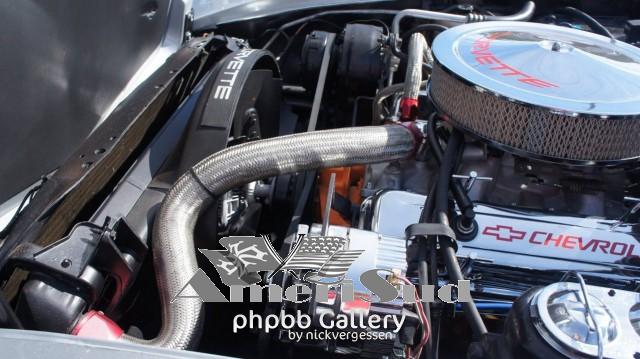 12615177 913250595456124 455952446152591609 o